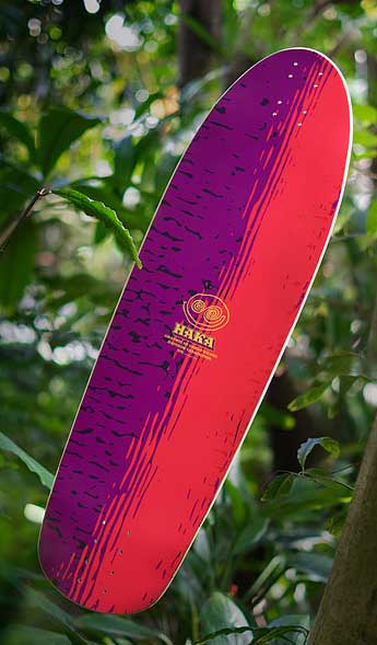 Studio Longboard | Skateshop & Kurse | Aufnahmen und Proberaum