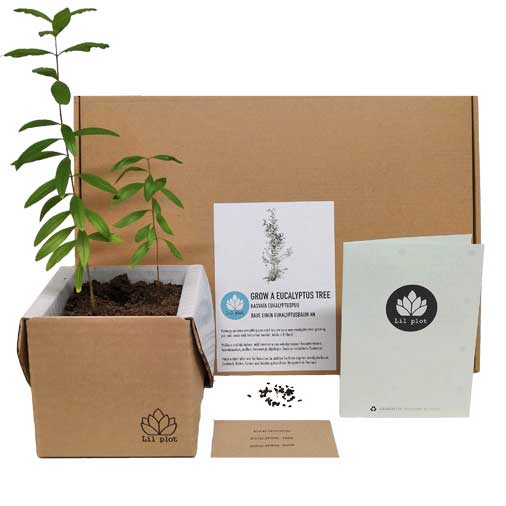 Studio Longboard | Skateshop & Kurse | Aufnahmen und Proberaum