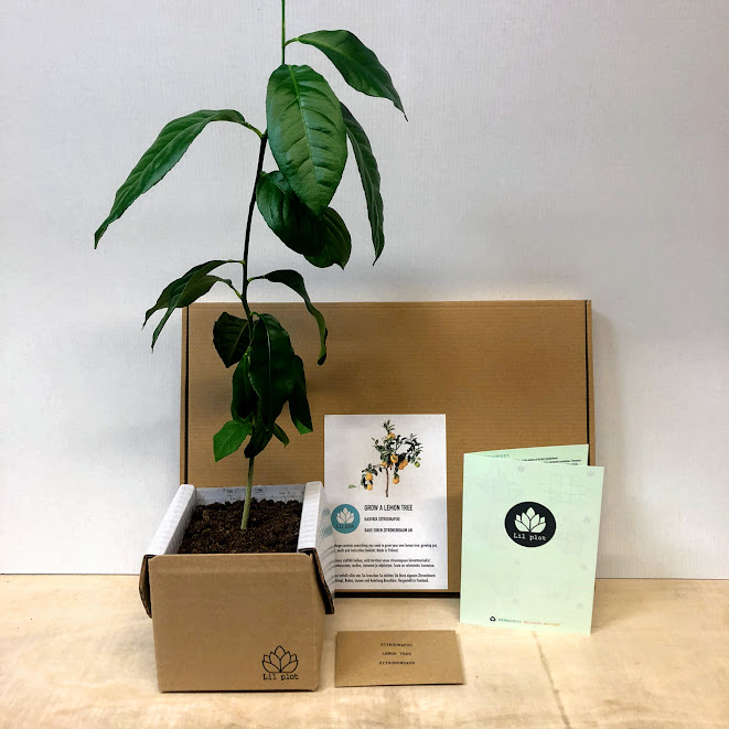 Studio Longboard | Skateshop & Kurse | Aufnahmen und Proberaum