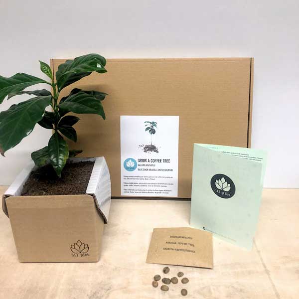 Studio Longboard | Skateshop & Kurse | Aufnahmen und Proberaum