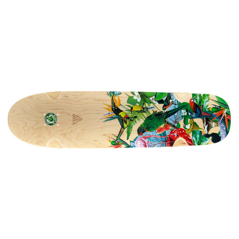 Studio Longboard | Skateshop & Kurse | Aufnahmen und Proberaum