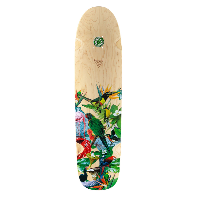 Studio Longboard | Skateshop & Kurse | Aufnahmen und Proberaum