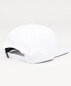 Alternative view of VENTURE Paid Unstructured Cap