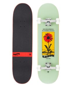 ARBOR Complete Street 8.25 Daisy